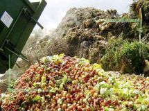 هدررفت ۲۳ درصد از محصولات کشاورزی کشور