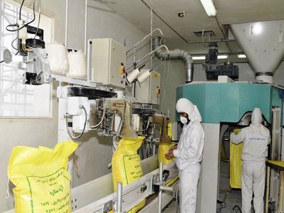 ثبت رشد ماهانه ۷ تا ۸ درصدی شاخص تولید صنعتی در سال ۱۴۰۱