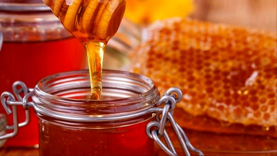 ایران به دومین تولیدکننده بزرگ عسل در جهان تبدیل شد
