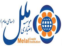 ۷۱ درصد تسهیلات موسسه ملل در اختیار شرکت‌های زیرمجموعه
