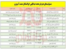 ابوالمشاغل صنعت آب و برق با ۱۱ شغل همزمان