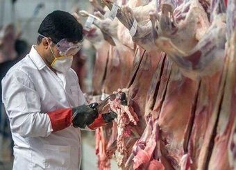 سازمان دامپزشکی کشور مرجع نظارت قانون نظام جامع دامپروری کشور معرفی شد