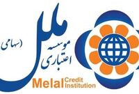 ۸۰ درصد تسهیلات کلان موسسه ملل در جیب شرکت‌های آن