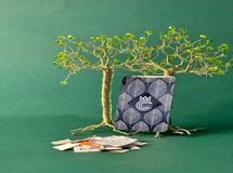 هوشمند باش از کارتت تا استندت!