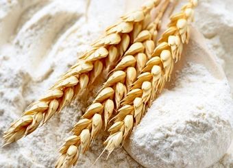 زیان ۷۰ هزار میلیارد تومانی دولت از فروش آرد یارانه‌ای در سال ۱۴۰۱