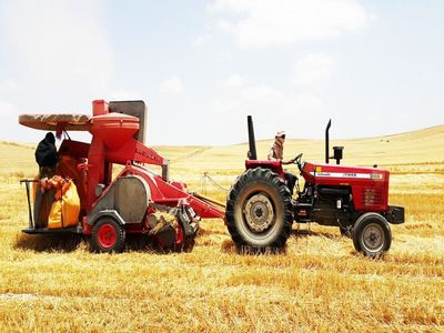 اشتغال ۸۳ درصد از فارغ‌التحصیلان رشته‌های کشاورزی در فعالیت‌های غیرکشاورزی