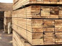 پرسال بزرگترین تامین کننده چوب ترموود