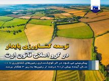 توسعه کشاورزی پایدار در گرو اصلاح قانون ارث