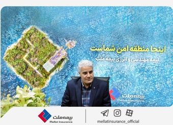 دلایل رشد ۱۷۰ درصدی سود، تحقق ۹۲ درصدی پرتفو، ارتقای سهم بازار بیمه ملت