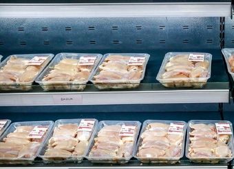 فراخوان خرید مرغ/ ذخایر شرکت پشتیبانی امور دام کشور از تولید داخل تامین می‌شود