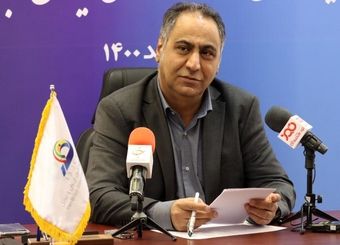 هندی‌ها چون حقوق ورودی کمتری دارند بازار فرش برزیل را از ایران گرفتند/ صادرات محصولات کشاورزی ایران به برزیل در حد ۱۰۰ میلیون دلار است
