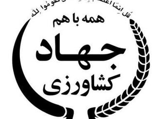 کمیته تغییر اقلیم وزارت جهاد کشاورزی به زودی راه اندازی می شود/تاکید بر شناسایی ردپای کربن و کاهش گازهای گلخانه ای