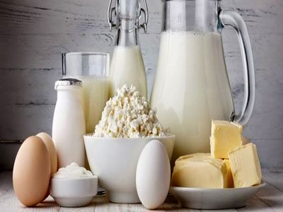 صادرات لبنیات ایران به ۵۵۱ هزار تن رسید/۷۲۳ میلیون دلار ارزآوری