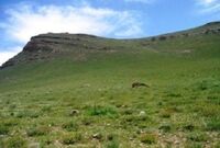لرستان در صدر یکپارچه‌سازی اراضی کشاورزی