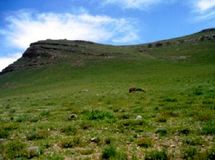 لرستان در صدر یکپارچه‌سازی اراضی کشاورزی