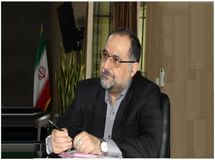 "مزارع بزرگ"، ظهور "مگا فارم"مشوق کشاورزی تجاری