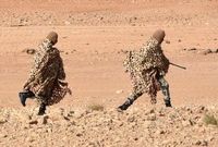تروریسم فقط انفجار پیجر نیست، تروریسم غذایی هم کشور را تهدید می‌کند