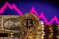 بیت‌کوین علیه دولت