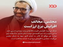 مجلس با افزایش نرخ ارز مخالف است