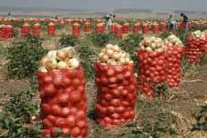 پرداخت فوری پول خرید تضمینی پیاز