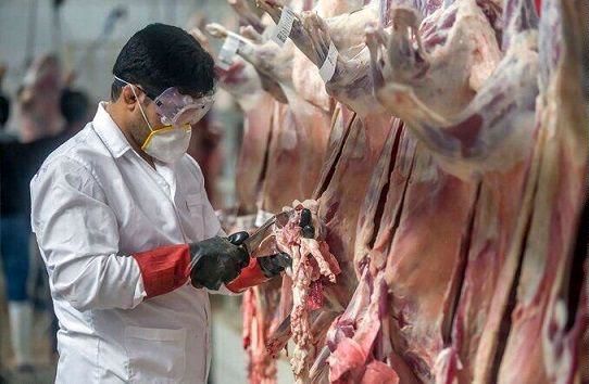 حمایت از تولید برنج و گوشت در اولویت ستاد اجرایی فرمان امام