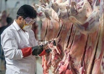 حمایت از تولید برنج و گوشت در اولویت ستاد اجرایی فرمان امام