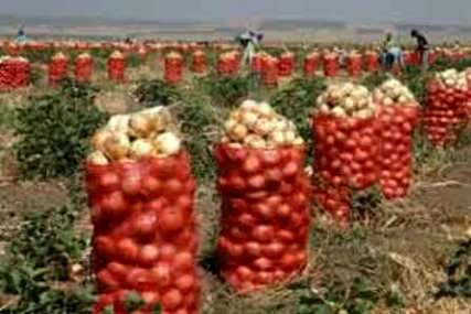 تکرار تراژدی‌های کشاورزان با بازیگری وزارت جهاد؛ اشکی که پیاز درآورد