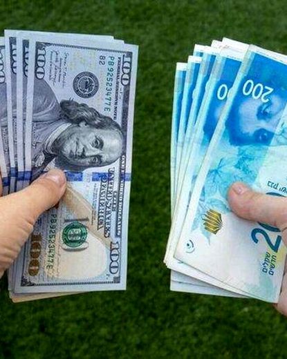 حذف ارز ۴۲۰۰ تومانی به شهید رئیسی تحمیل شد