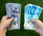 حذف ارز ۴۲۰۰ تومانی به شهید رئیسی تحمیل شد