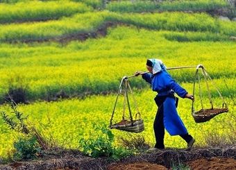 ۵ شغل پردرآمد کشاورزی که زندگی‌تان را متحول می‌کند

