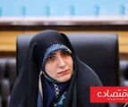 افزایش قیمت بنزین تورم را سه‌رقمی می‌کند/روزانه ۴ میلیون لیتر قاچاق بنزین داریم/طرح رزاق فورا متوقف شود/کسری ده درصدی بنزین 