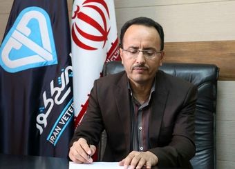 فرصت تازه صادرات دام ایران / قطر خواستار گوسفند ایرانی شد
