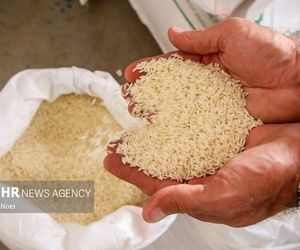 ثبت‌سفارش برنج از هفته آینده آغاز می‌شود