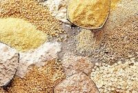 نهاده‌های دامی به اندازه مورد نیاز در سامانه بازارگاه توزیع نمی‌شود