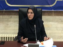 صادرات کیوی از ۷ مهر آزاد می‌شود
