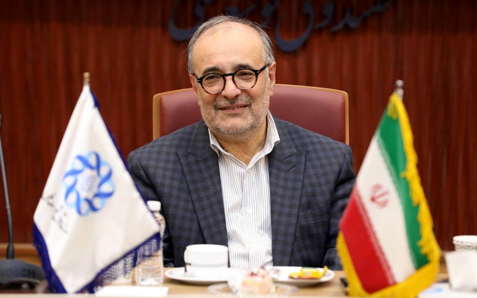 بخش قابل توجهی از منابع صندوق توسعه، قابل برداشت نیست