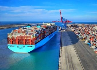 صادرات این میوه مجاز شد
