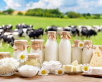 چه عواملی در گرانی قیمت لبنیات نقش دارند؟
