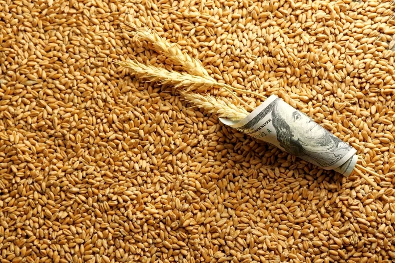 امروز قیمت خرید تضمینی گندم تعیین می‌شود

