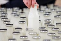 افزایش صادرات شیر یارانه‌دار در قالب شیر خشک صنعتی
