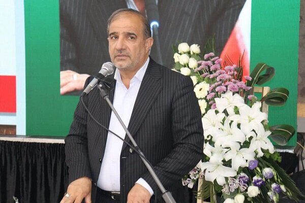 دام‌ها در مزارع سبز گندم در حال چرا هستند
