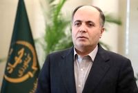 ارز ترجیحی نهاده‌های دامی تا پایان سال حذف نمی‌شود
