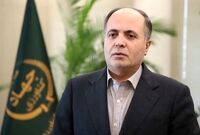 ارز ترجیحی نهاده‌های دامی تا پایان سال حذف نمی‌شود
