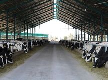 نامه سرگشاده اتحادیه کارخانجات خوراک به وزیر جهاد کشاورزی
