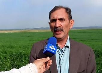 بحران بذر دیم در سال خشکسالی؛ ضرورت تسریع در پرداخت یارانه
