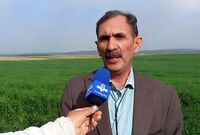 بحران بذر دیم در سال خشکسالی؛ ضرورت تسریع در پرداخت یارانه
