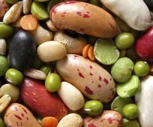 سفر حبوبات به ایران؛ از دروازه امارات تا بازارهای منطقه
