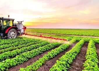 ارائه راهکارهای عملیاتی برای تقویت تاب‌آوری بخش کشاورزی
