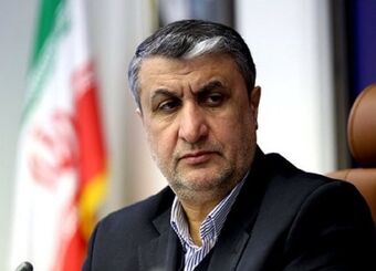 نقش فناوری هسته‌ای در پیشبرد سایر صنایع/ امکان گشایش اقتصادی با پرتودهی محصولات کشاورزی

