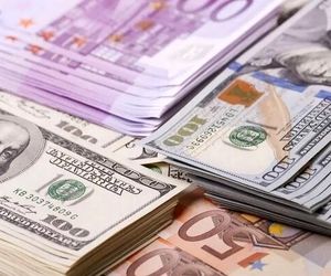 تخصیص ۳۴.۵ میلیارد دلار ارز برای واردات و تجارت تا پایان مهر
